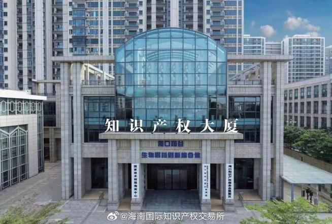 在海口知识产权服务业集聚区揭牌设立