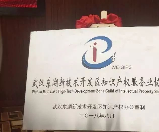 【聚焦】全省首家知识产权服务业协会在光谷成立