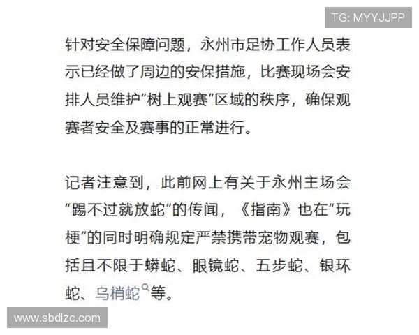 湘超永州创意赛事树上挂票 玩家上树前需通过体检确保安全